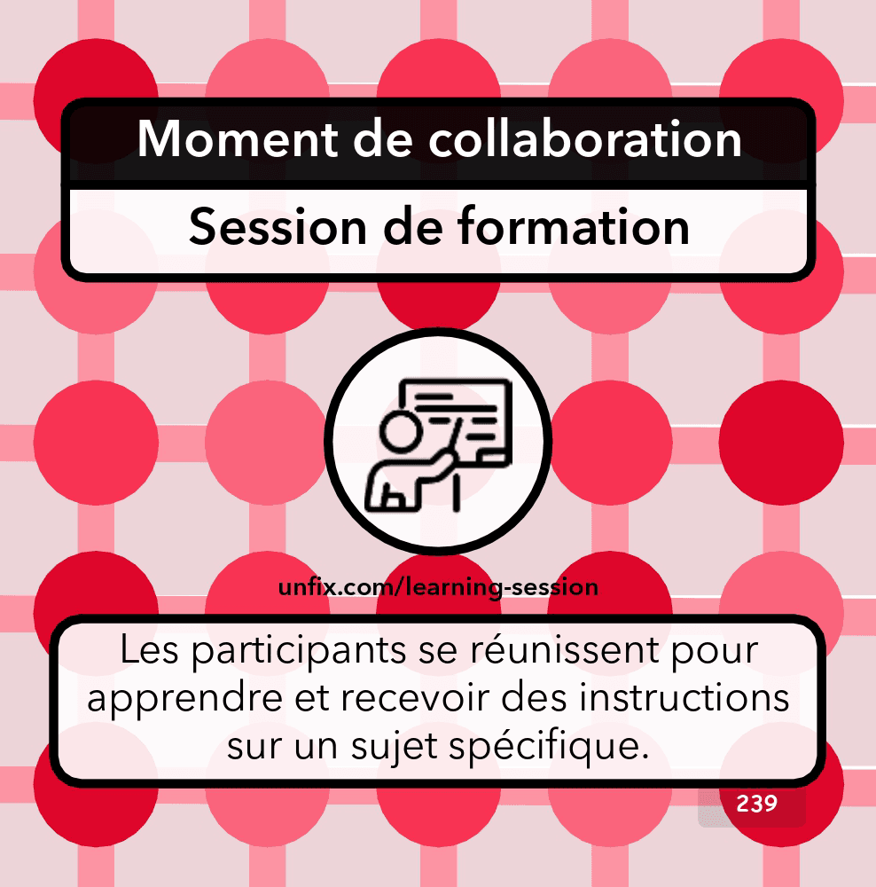 La session de formation